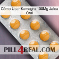 Cómo Usar Kamagra 100Mg Jalea Oral levitra1